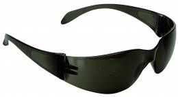 Γυαλιά προστασίας Climax 590